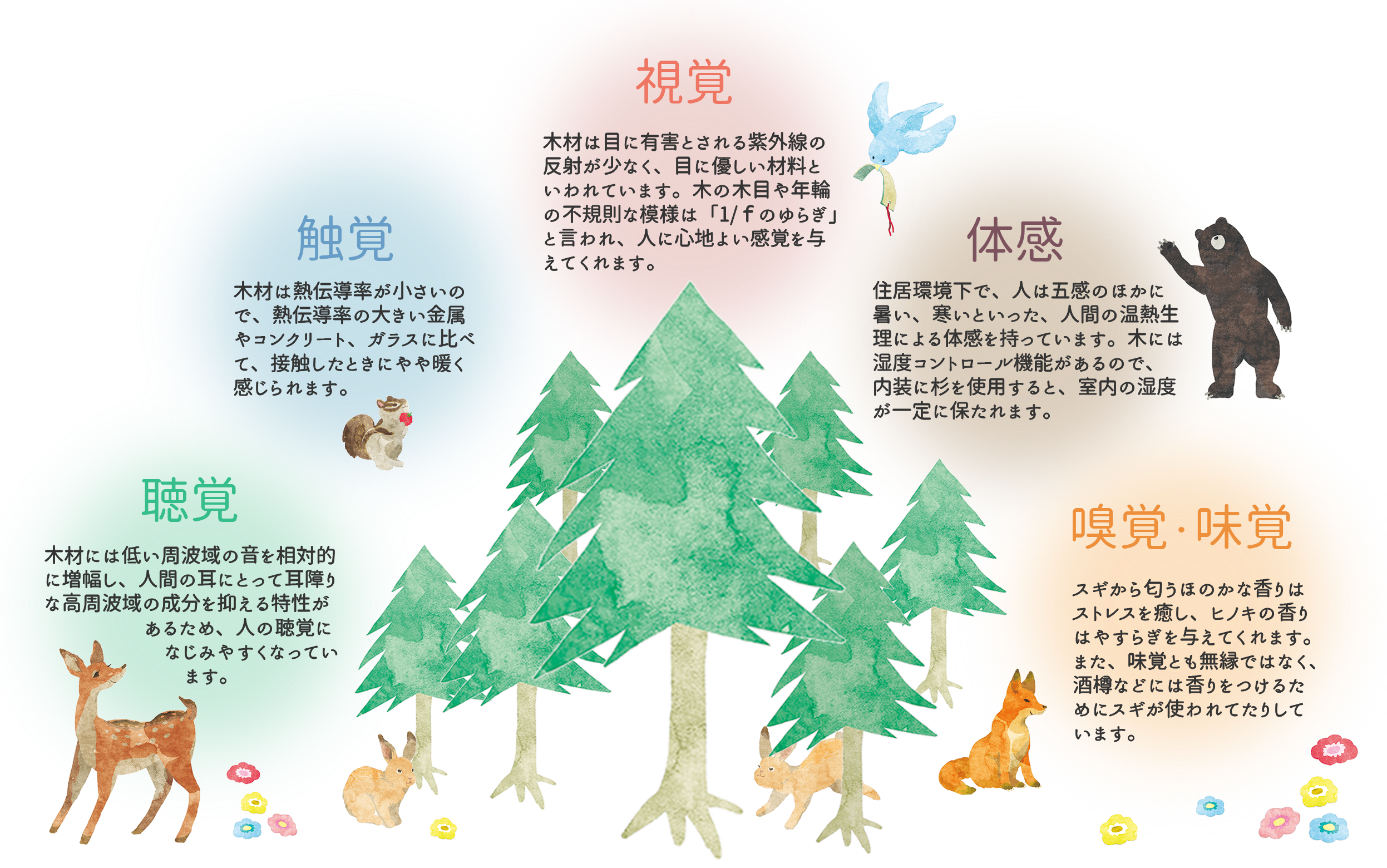 五感で感じる板倉造り 板倉造りは視覚・触覚・体感・聴覚・嗅覚の五感で良さを感じることができます。