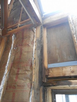 奈良広陵　無垢と漆喰の耐震リフォーム　雨漏り箇所確認04